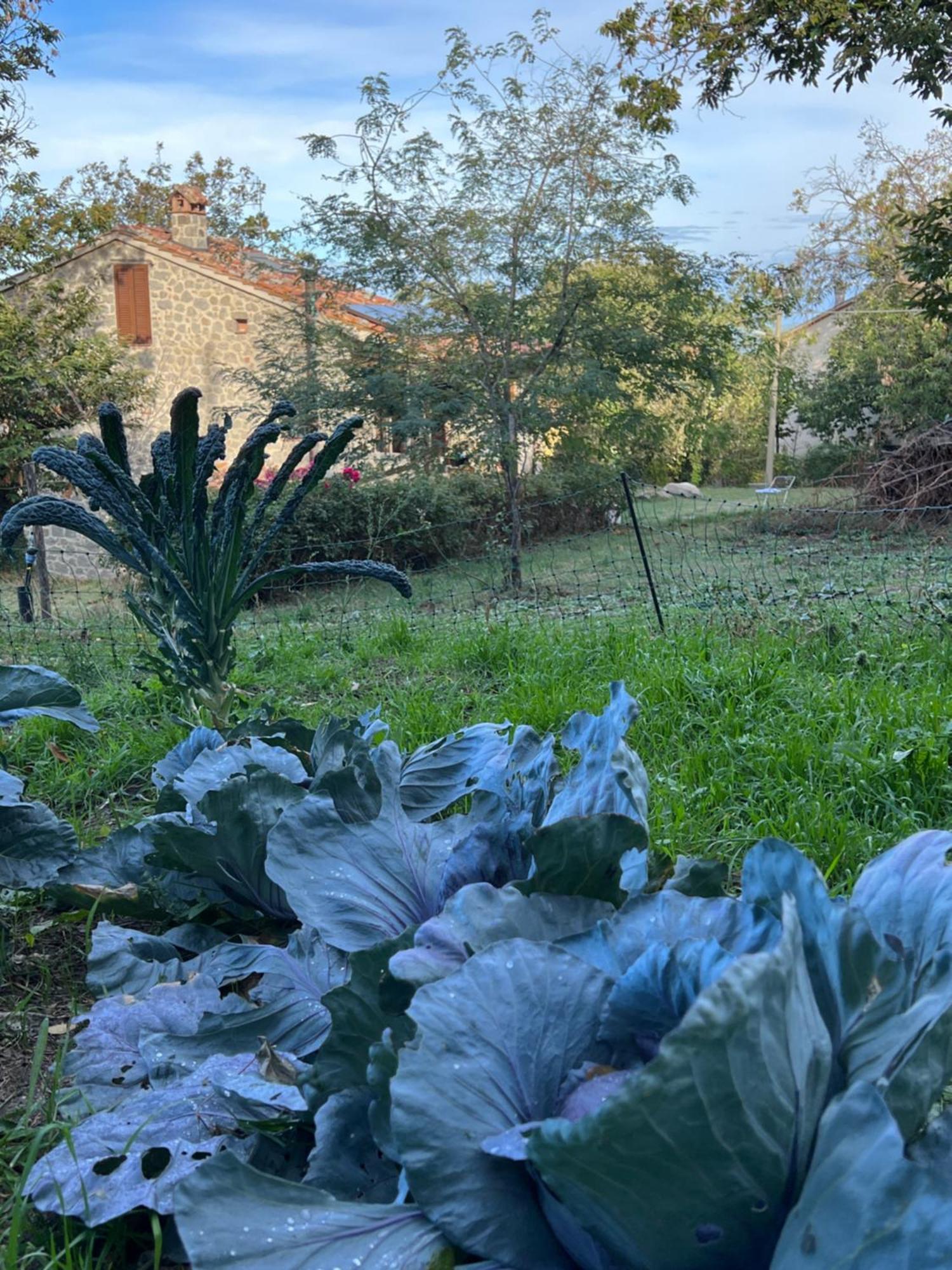 קסטל דל פיאנו B&B Podere Legnotorto מראה חיצוני תמונה